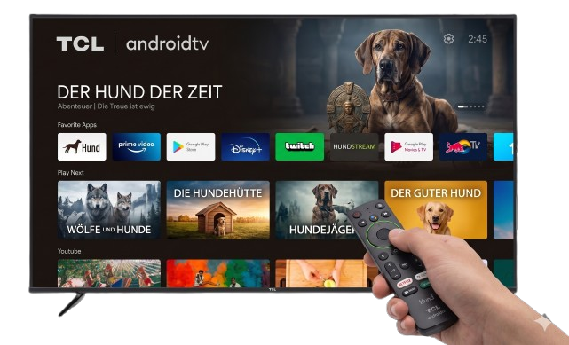 4kvision Premium IPTV Service on 4K Smart TV